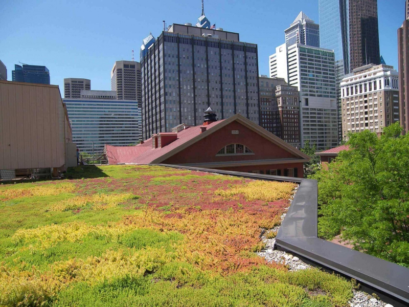 paysagiste-CLANS-min_green-roof-portfolio-4